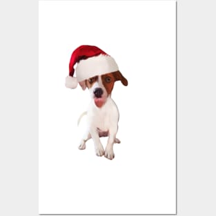 Funny Christmas Jack Russell In Santa Hat Posters and Art